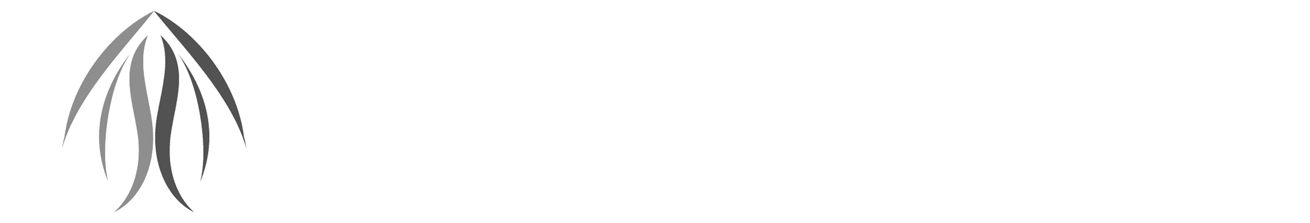 QrixVetra Logo